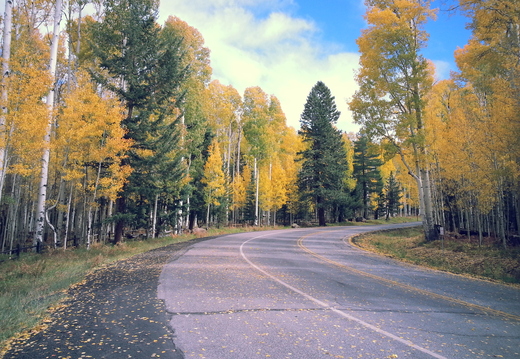 wallpaper-autumn-1