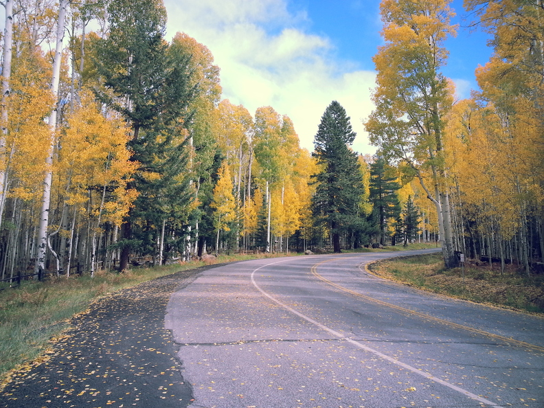 wallpaper-autumn-1.jpg