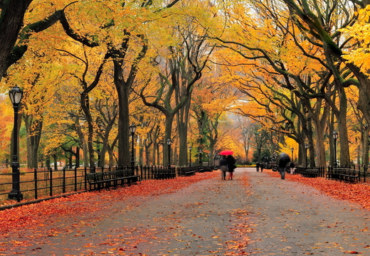 wallpaper-autumn-3