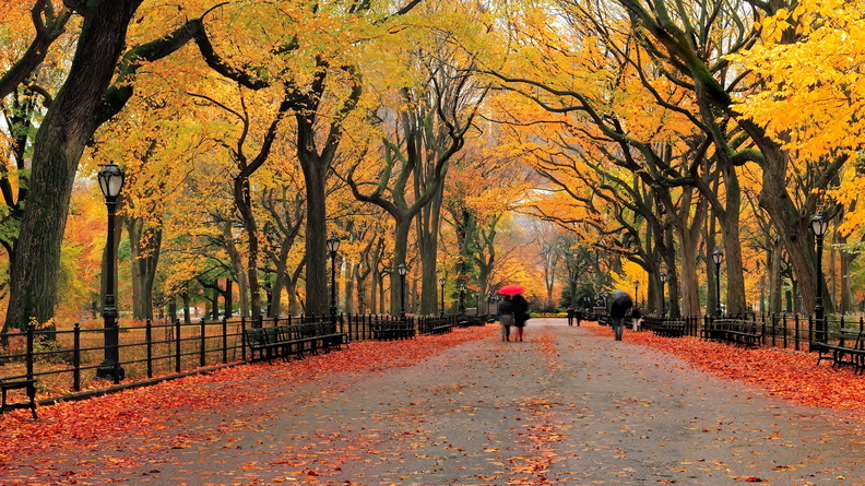 wallpaper-autumn-3.jpg