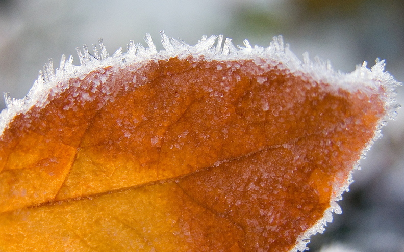wallpaper-autumn-6.jpg
