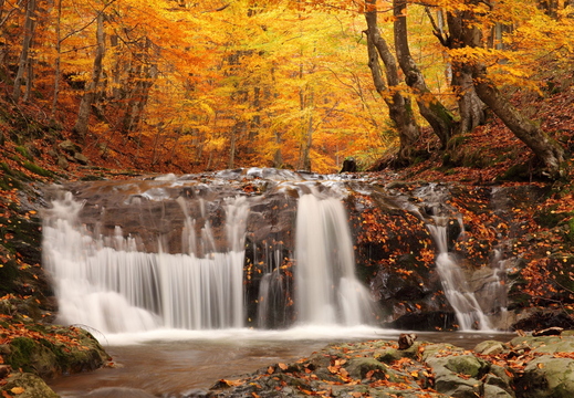 Autumn