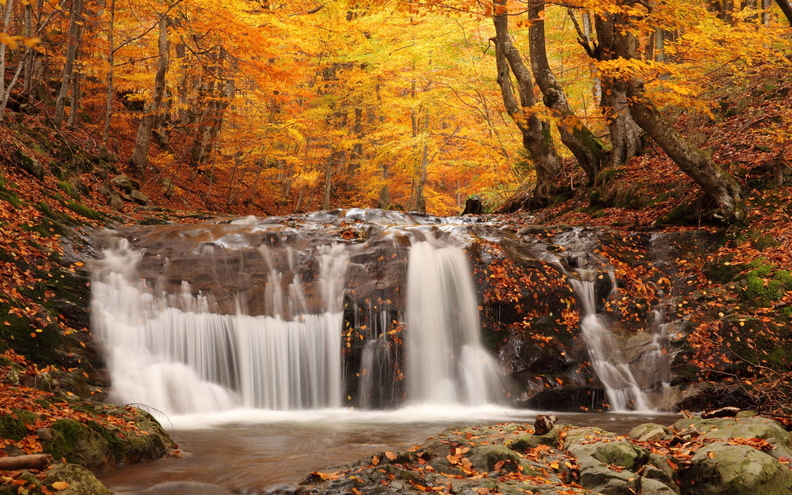 wallpaper-autumn-7.jpg