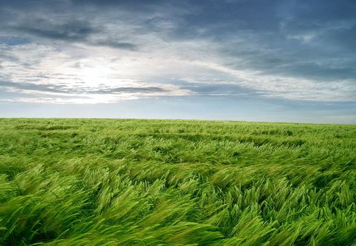 wallpaper-landscape-16