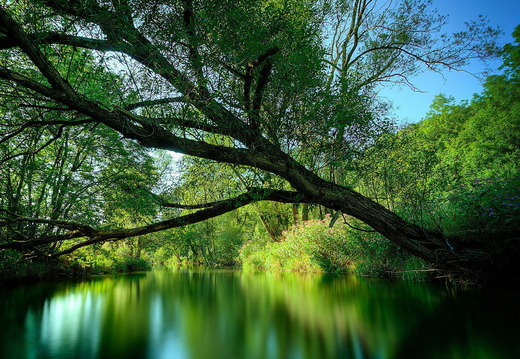 wallpaper-river-5