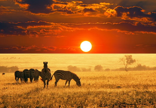 wallpaper-sunset-14