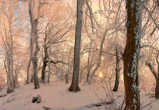 wallpaper-winter-1