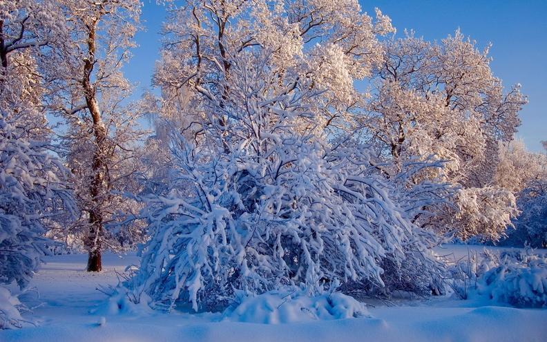 wallpaper-winter-2.jpg