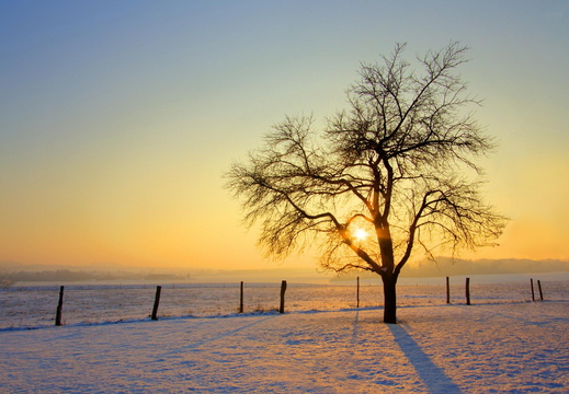 wallpaper-winter-6