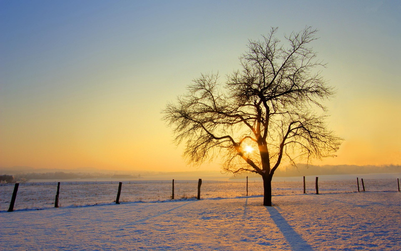 wallpaper-winter-6.jpg