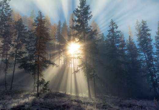 wallpaper-winter-9