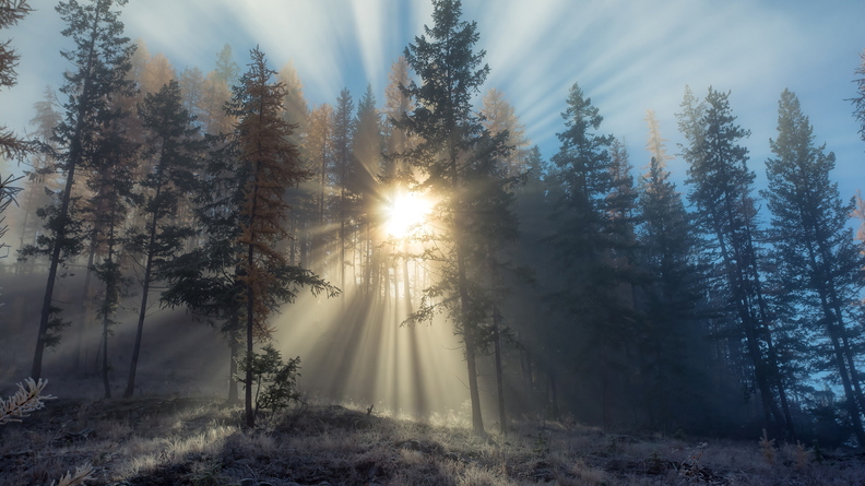 wallpaper-winter-9.jpg